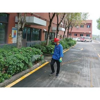 外圍環境消殺（shā）蚊蠅
