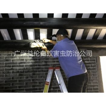 小（xiǎo）樓祠堂殺滅白蟻工程