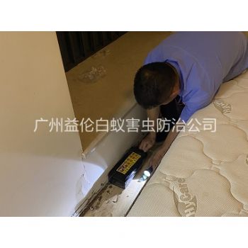 廣州家居白蟻滅治工程